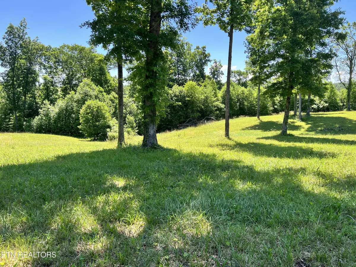 Crossville, TN 38571,Lot 20 Bluff View LOOP