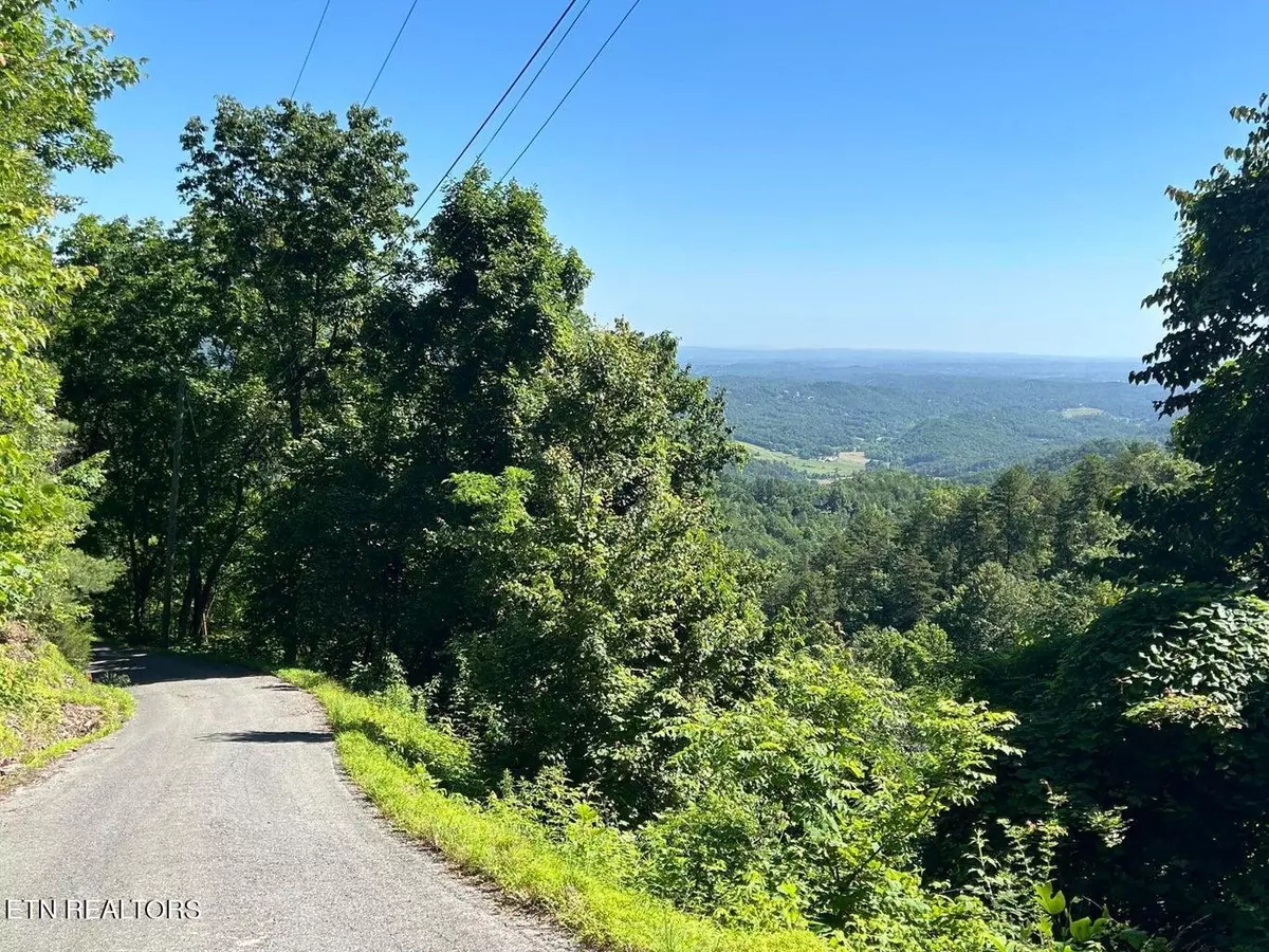 Sevierville, TN 37862,Lot 2 Overholt Trail