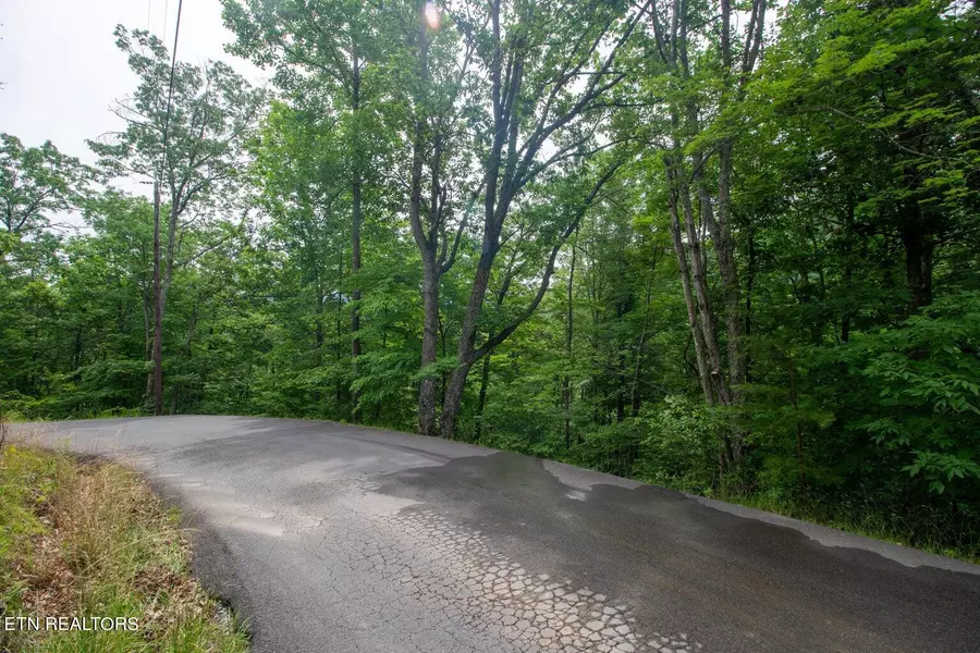 Lot 15 Overholt Trail, Sevierville, TN 37862