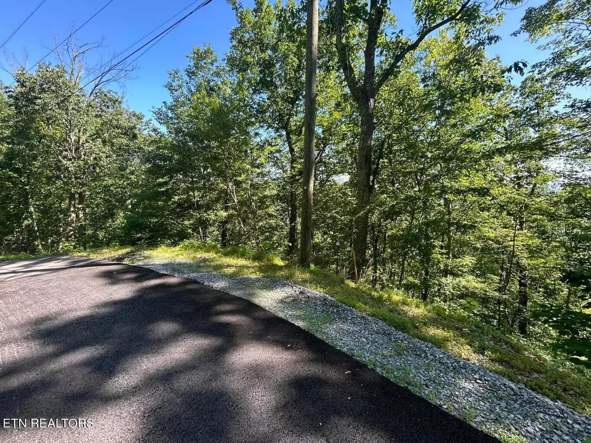 Sevierville, TN 37862,Lot 1R Overholt Trail