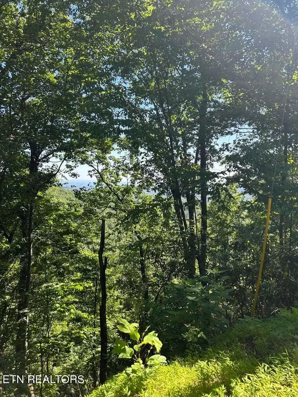 Sevierville, TN 37862,Lot 1R Overholt Trail