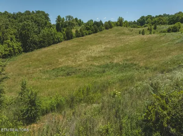 Russellville, TN 37860,9.81 Acres Sugar Hollow Rd