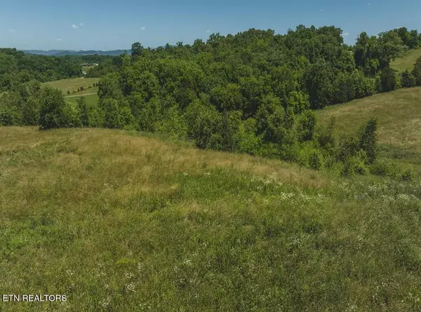 Russellville, TN 37860,9.81 Acres Sugar Hollow Rd