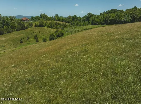 Russellville, TN 37860,12.69 Acre Sugar Hollow Rd