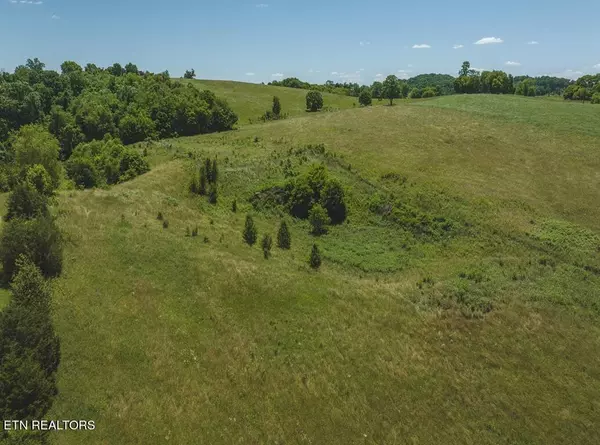 12.69 Acre Sugar Hollow Rd, Russellville, TN 37860