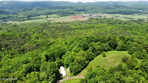 Rutledge, TN 37861,30 acres Theo Hixon Rd