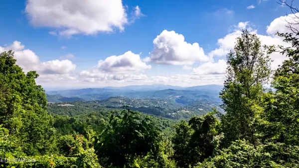 Gatlinburg, TN 37738,Lot 10 St Moritz DR