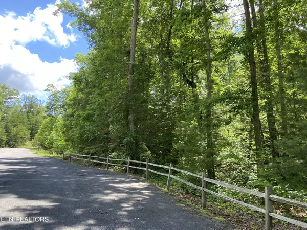 Lot 33W Long Rifle Rd, Walland, TN 37886