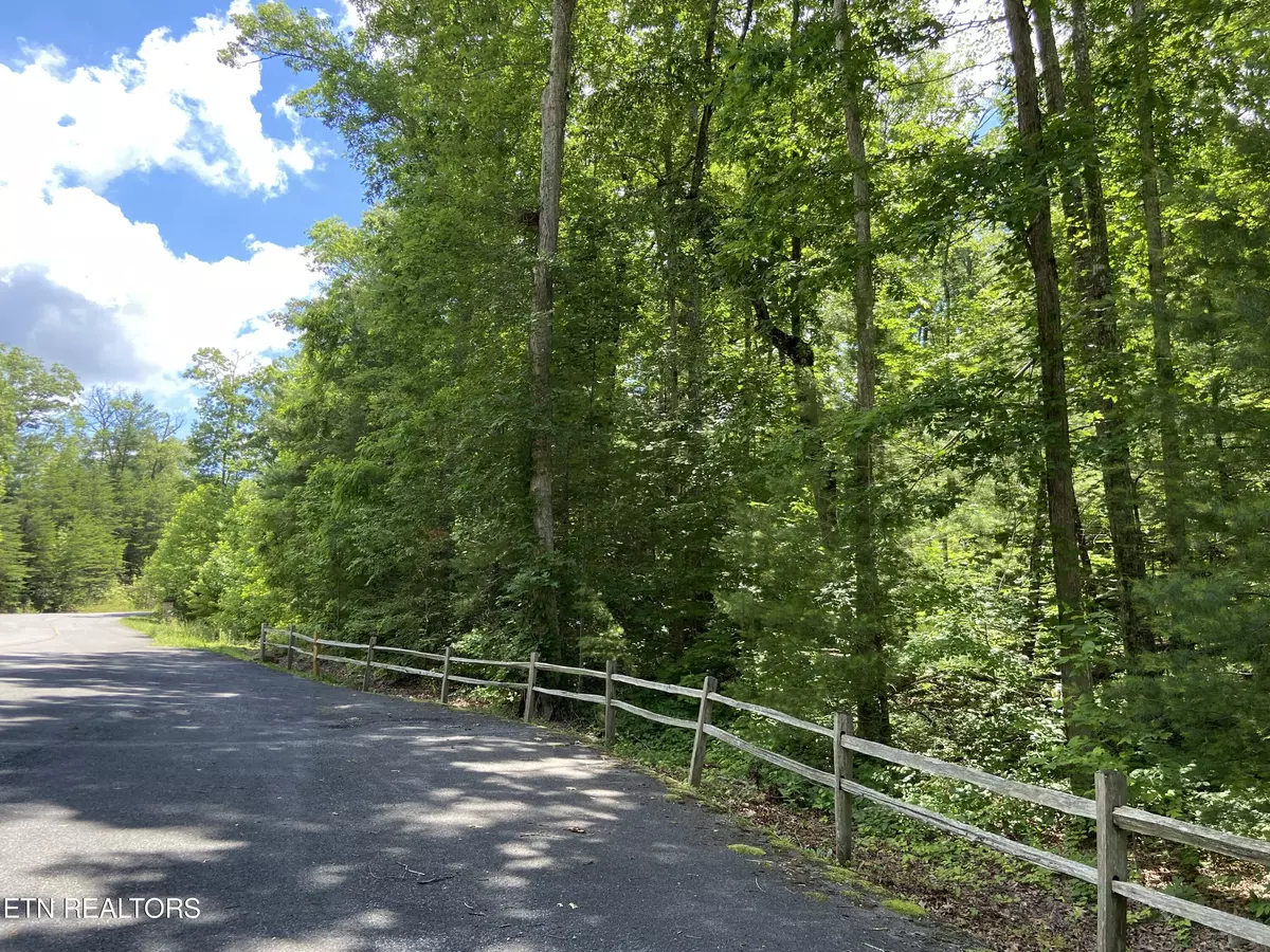 Walland, TN 37886,Lot 33W Long Rifle Rd