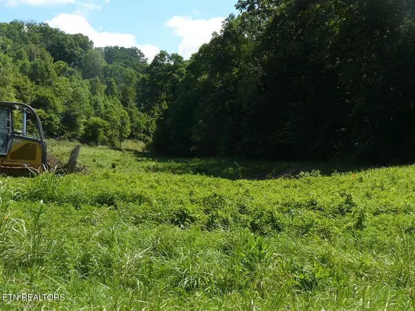 Tazewell, TN 37879,6.64 Acres Old Cave Springs Rd