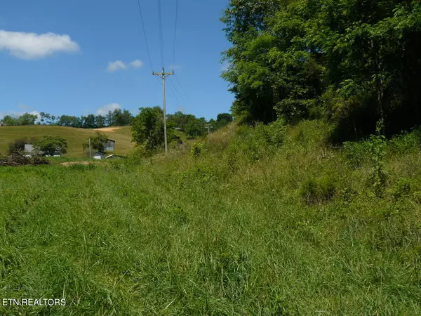 Tazewell, TN 37879,7.34 Acres Old Cave Springs Rd