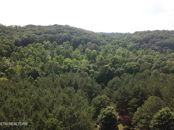 Ocoee, TN 37361,1415 Sloan Gap Rd