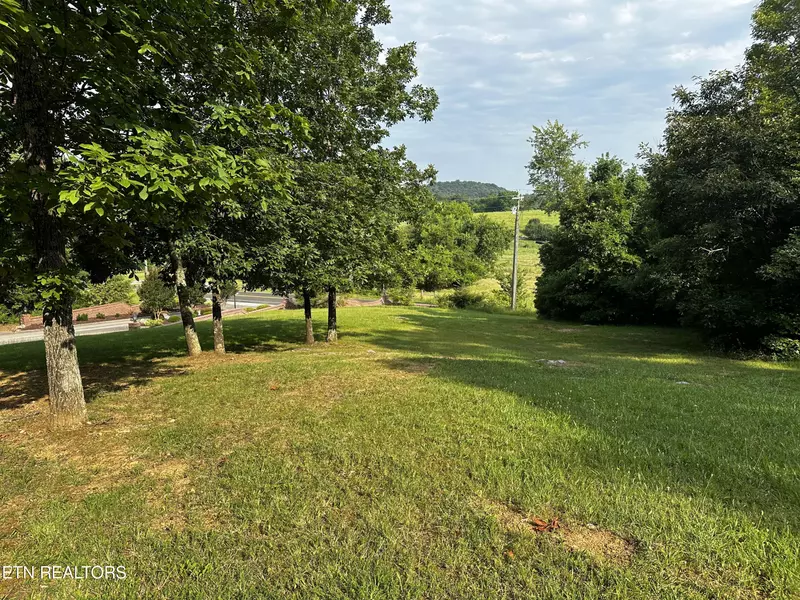 Buckhead Tr, White Pine, TN 37890