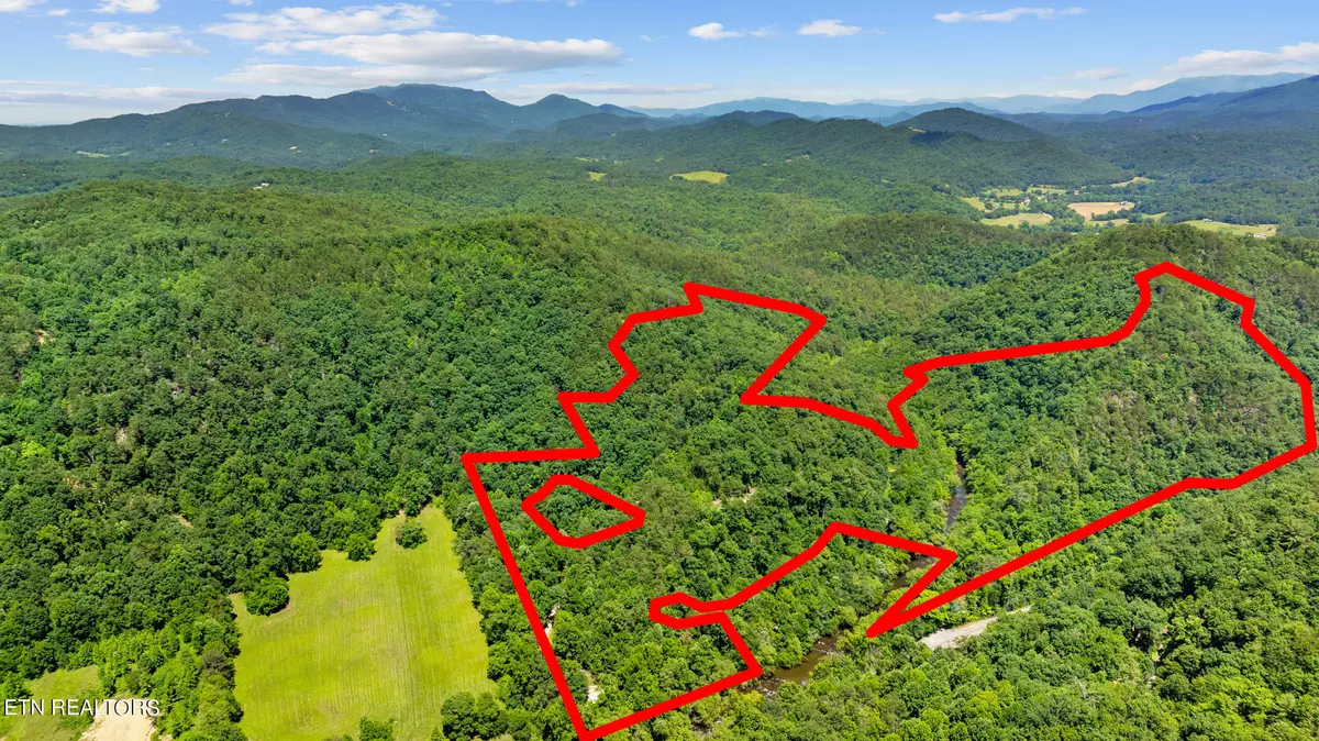 Sevierville, TN 37876,000 Brandy WAY