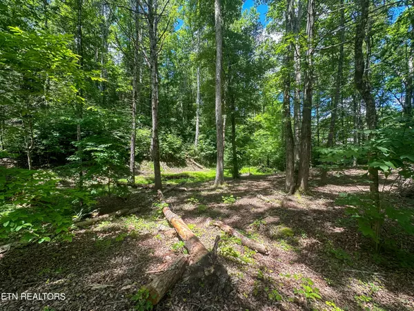 Sevierville, TN 37862,Trillium Cove Lane