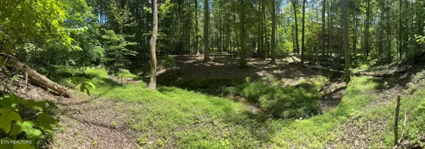 Sevierville, TN 37862,Trillium Cove Lane