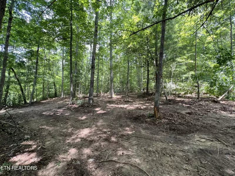 Woods Hollow LN, Crossville, TN 38571