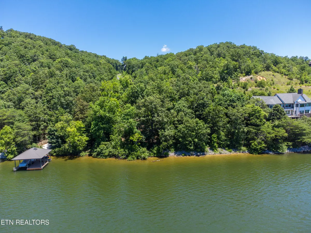 Rockwood, TN 37854,Mountain DR