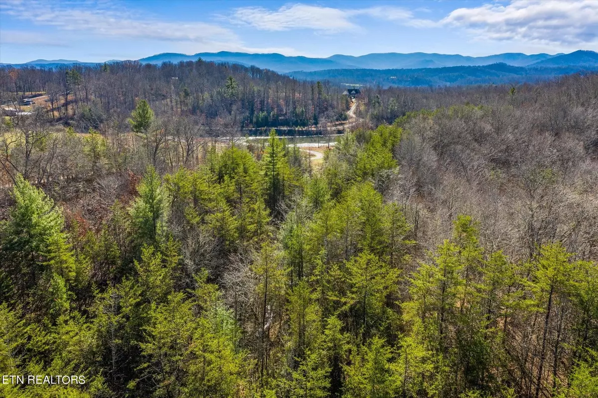 Robbins, TN 37852,Ridge Rd Lot 23