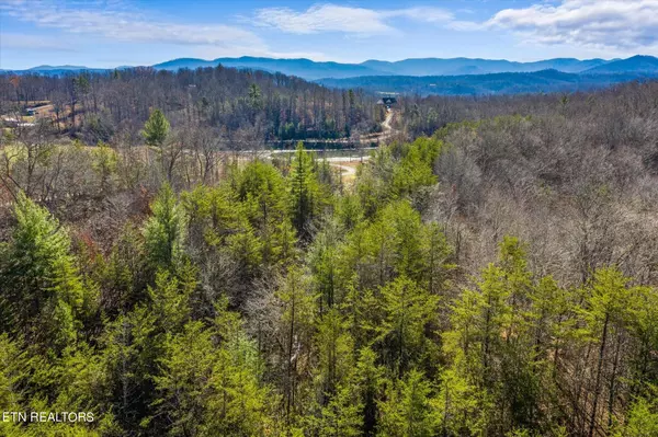 Ridge Rd Lot 28, Robbins, TN 37852