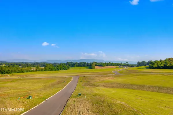 Lot 71 Vista Ridge Drive, White Pine, TN 37890