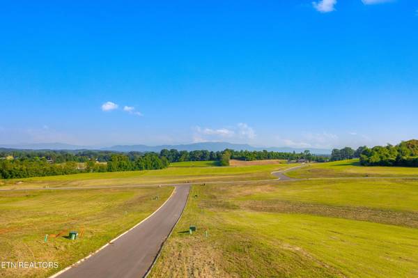 Lot 71 Vista Ridge Drive, White Pine, TN 37890