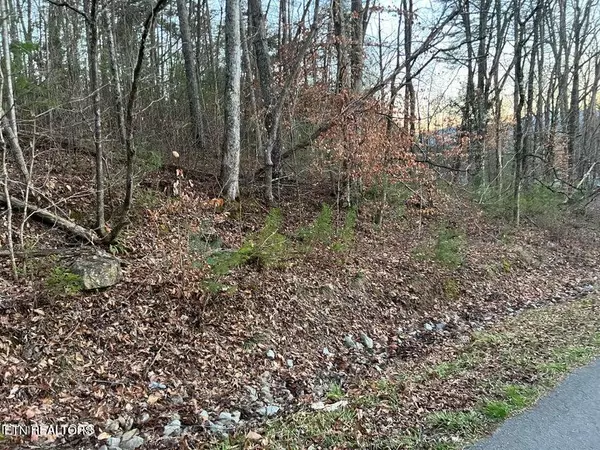 lot 34 Alpine DR, Sevierville, TN 37876