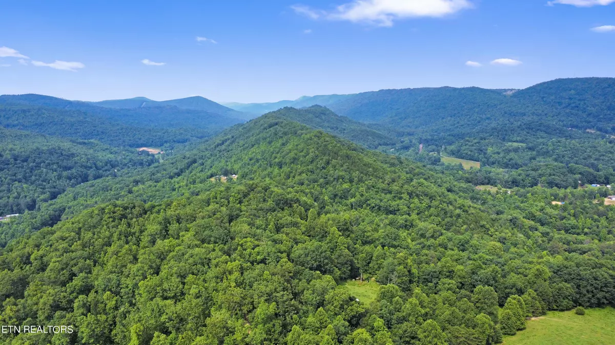 Pioneer, TN 37847,320 Taylor LN