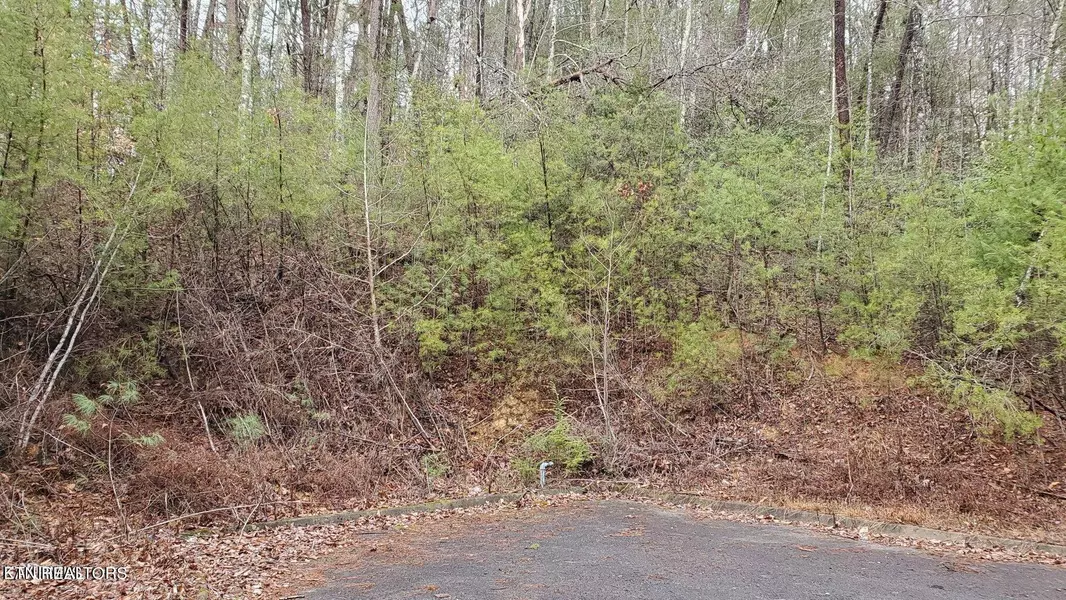 Lot 15 Peace LN, Sevierville, TN 37876