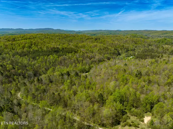 Lafollette, TN 37766,Lot 4 Big Four Rd