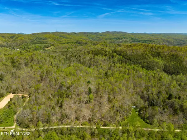 Lafollette, TN 37766,Lot 5 Big Four Rd