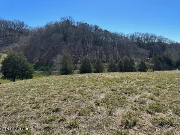 Bybee, TN 37713,000 Knob Creek Rd