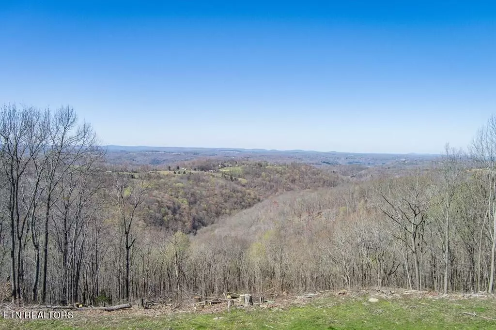 Byrdstown, TN 38549,38.8 AC Anderson Rd