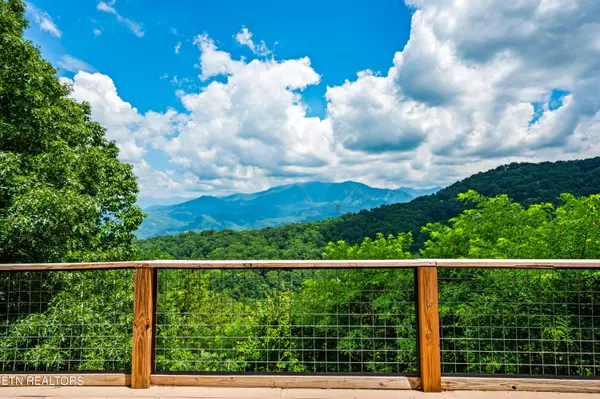 Gatlinburg, TN 37738,1239 Ski View DR