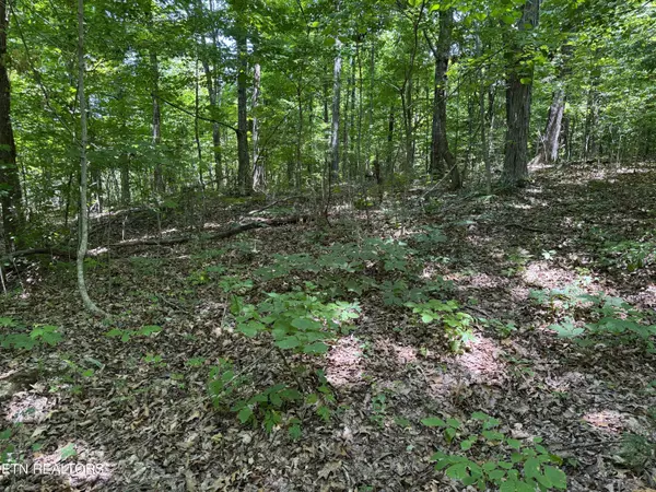 6.8 Acres Friendship South Rd, Afton, TN 37616