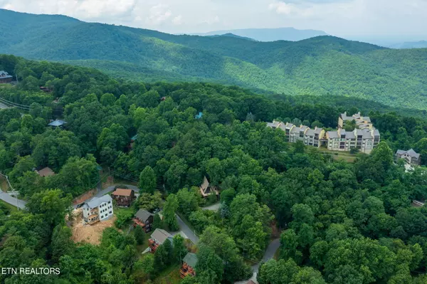 Gatlinburg, TN 37738,1136 Upper Alpine WAY