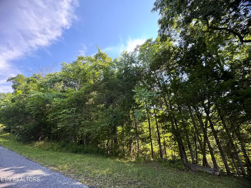 1.18 acres Oak Hammock LN, Parrottsville, TN 37843