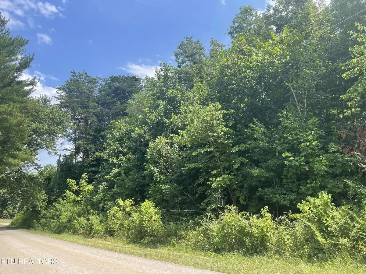 Harriman, TN 37748,Skyline DR