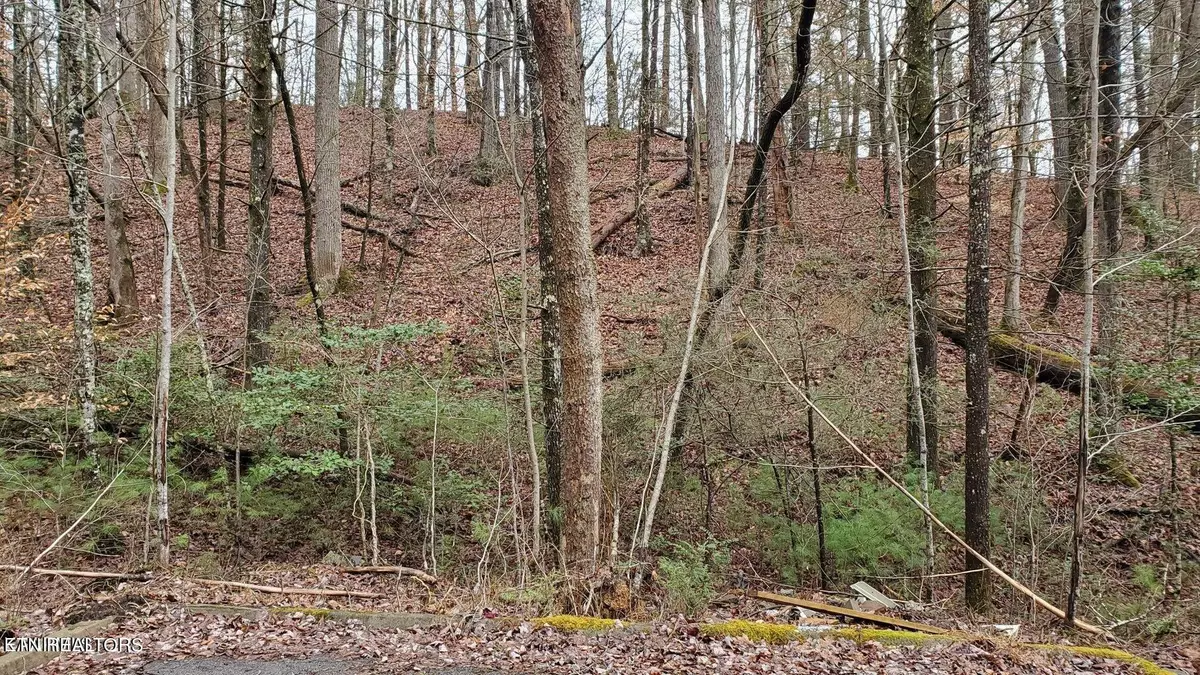 Sevierville, TN 37876,Lot 12 Peace LN