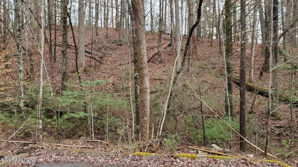 Lot 12 Peace LN, Sevierville, TN 37876