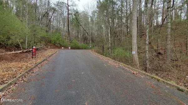 Sevierville, TN 37876,Lot 13 Peace LN