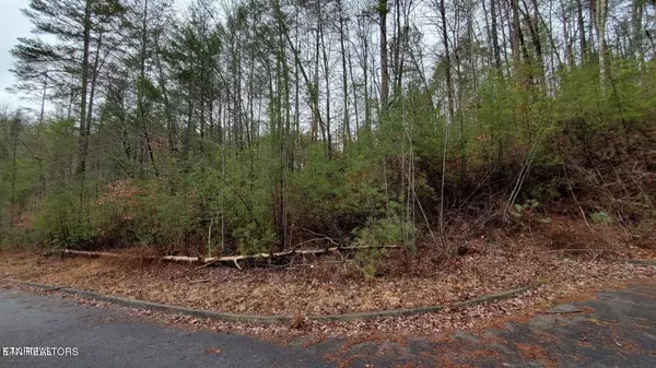 Lot 16 Peace LN, Sevierville, TN 37876