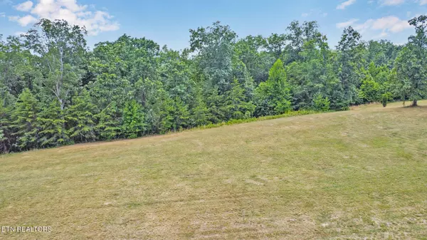 Spring City, TN 37381,336 Hidden Forest Tr