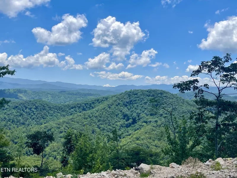 Lot33 Bullet Mountain Rd, Tellico Plains, TN 37385