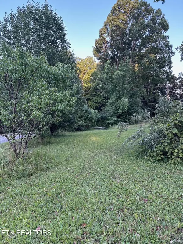 Rocky Top, TN 37769,lot 2 New Clear Branch Rd