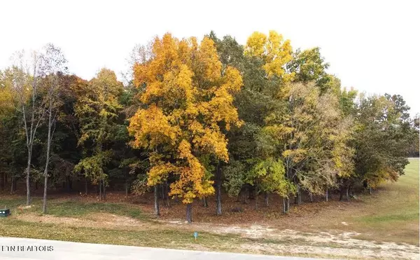 White Pine, TN 37890,Lot #61 Sunset Blvd