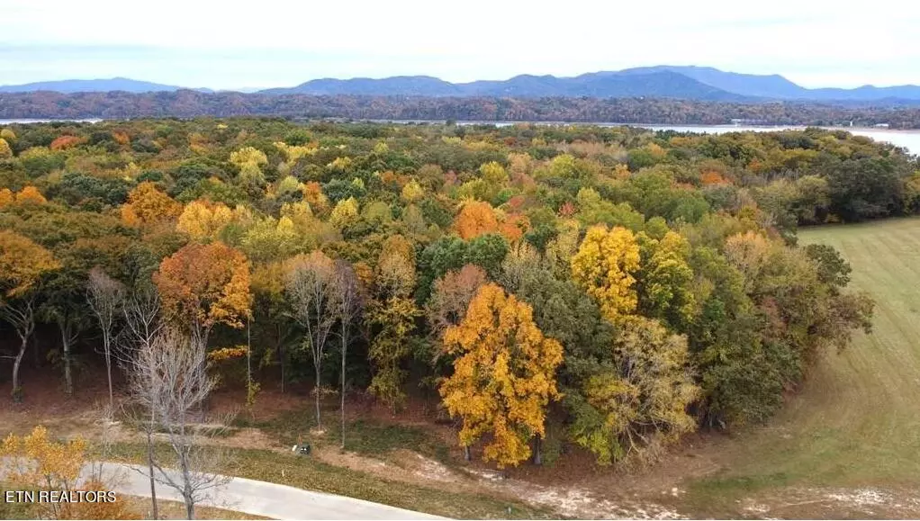 Lot #61 Sunset Blvd, White Pine, TN 37890