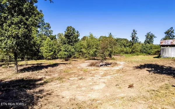 Walland, TN 37886,Jeffries Hollow Rd. Lot 6