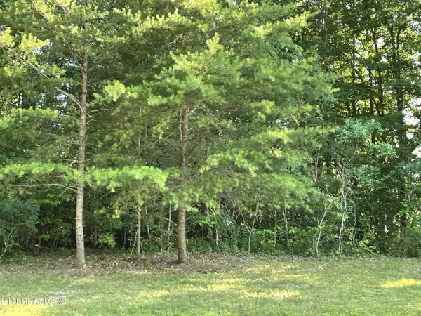 Lot 139 Hayden LN, Clarkrange, TN 38553