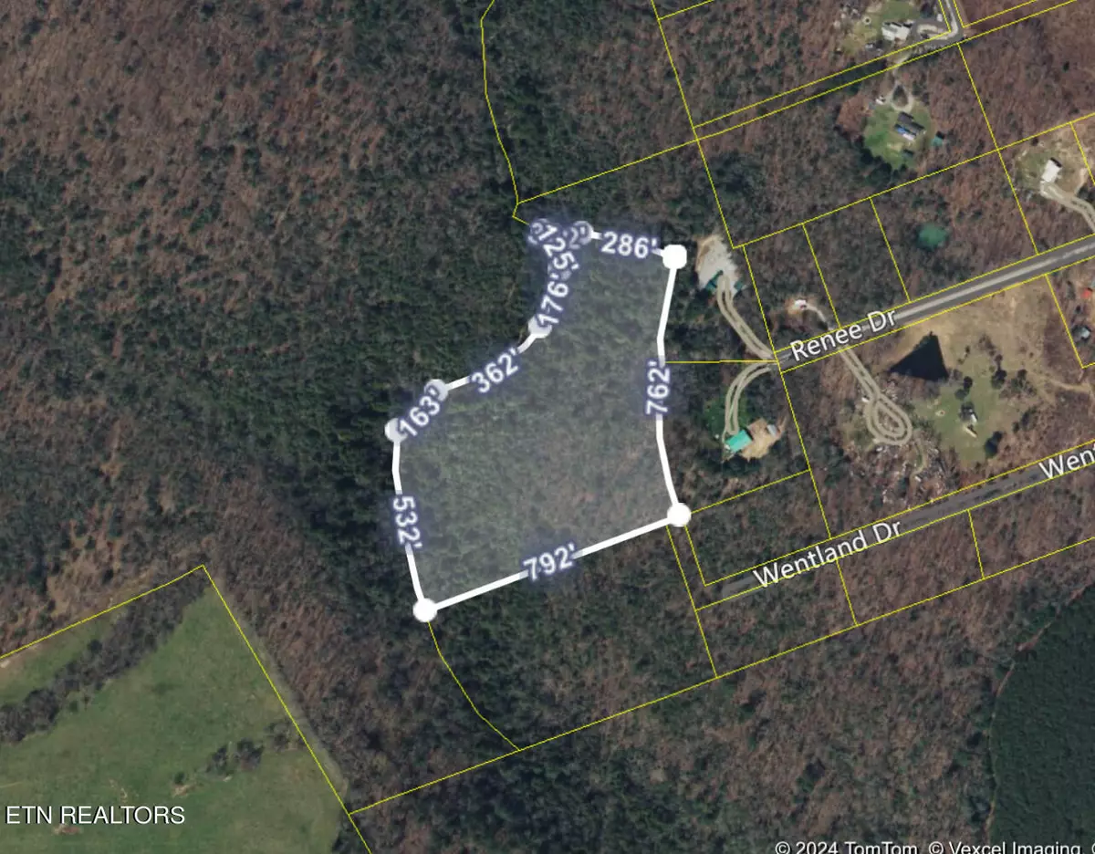 Deer Lodge, TN 37726,0 Off Wentland DR